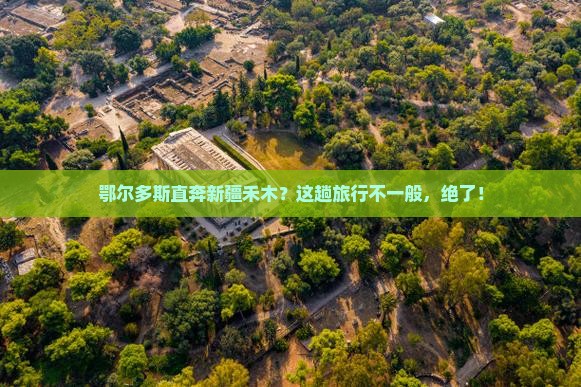 鄂尔多斯去新疆禾木旅行社