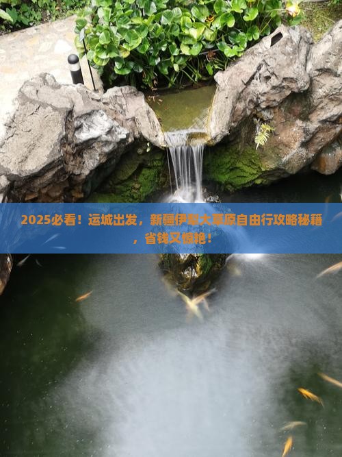 运城到新疆伊犁大草原自由团