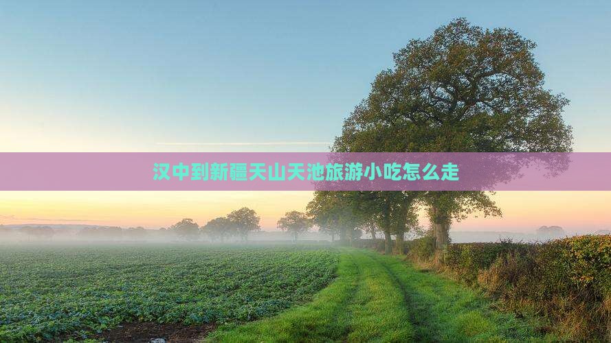 汉中到新疆天山天池旅游小吃