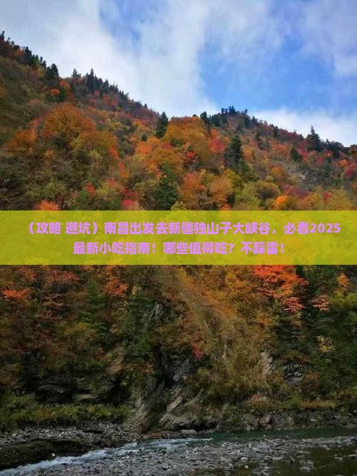 南昌去新疆独山子大峡谷旅游小吃