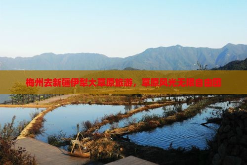 梅州去新疆伊犁大草原自由团