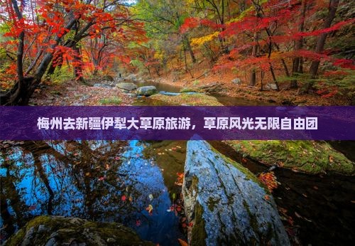 梅州去新疆伊犁大草原自由团