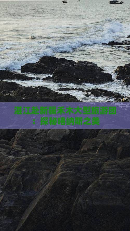 湛江去新疆禾木大型旅游团