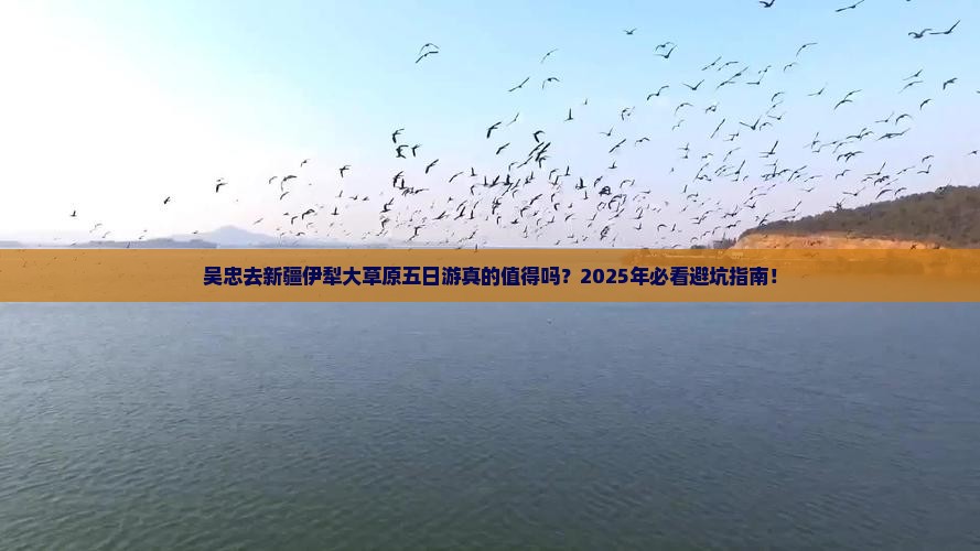 吴忠去新疆伊犁大草原五日游