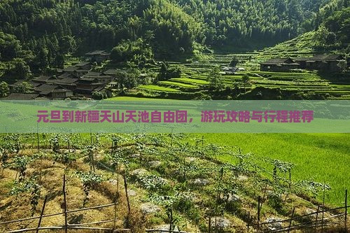 元旦到新疆天山天池自由团