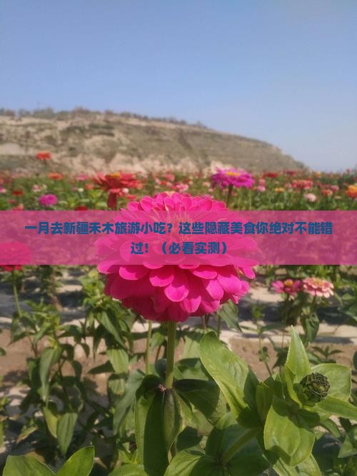 一月去新疆禾木旅游小吃