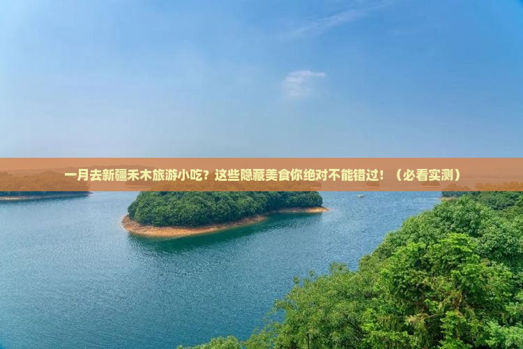 一月去新疆禾木旅游小吃