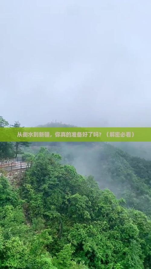 衡水到新疆攻略