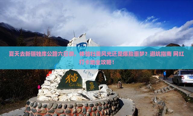 夏天去新疆独库公路六日游