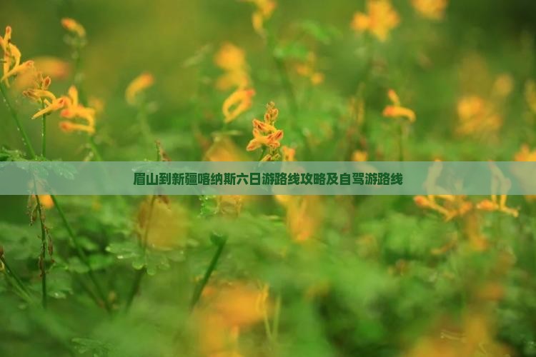 眉山到新疆喀纳斯六日游