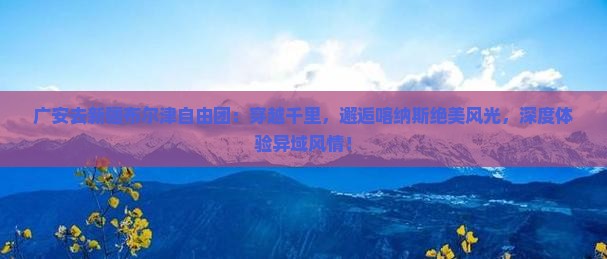 广安去新疆布尔津自由团