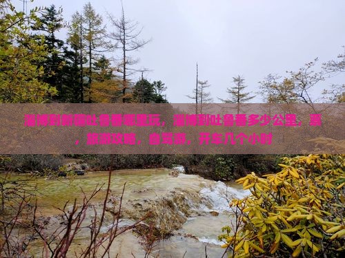 淄博到新疆吐鲁番哪里玩