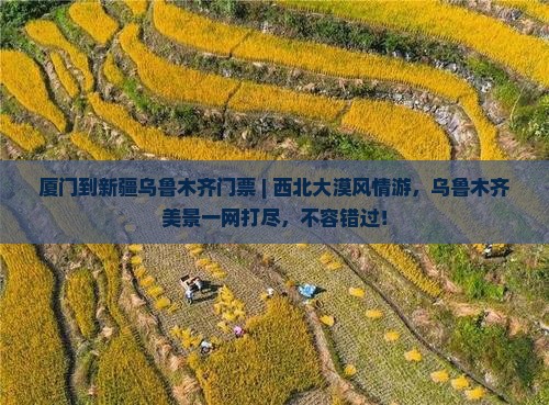 厦门到新疆乌鲁木齐门票