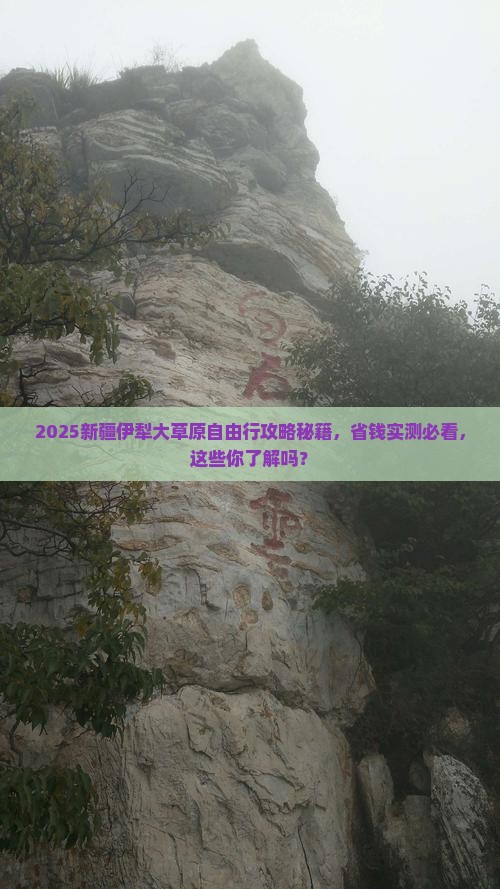 绥化去新疆伊犁大草原自由团