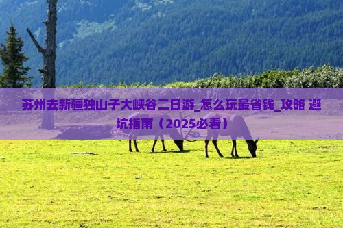 苏州去新疆独山子大峡谷二日游