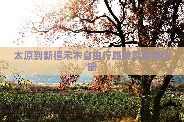 太原到新疆禾木自由行