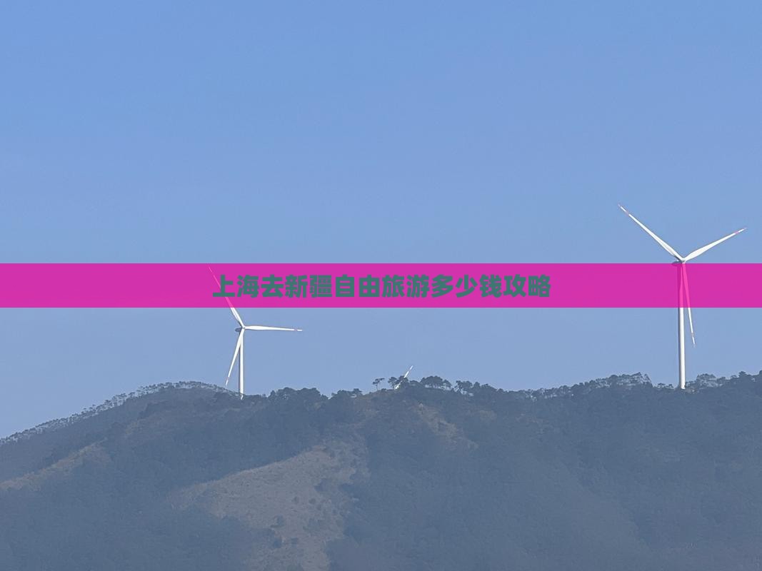 上海去新疆自由团