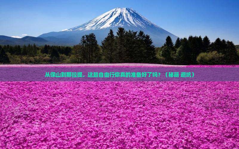 保山到新疆那拉提自由行
