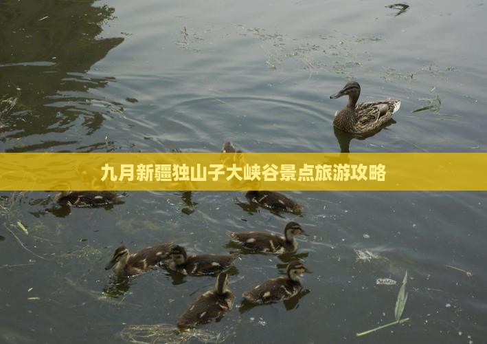 九月去新疆独山子大峡谷景点