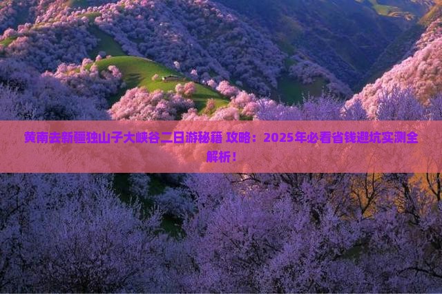 黄南去新疆独山子大峡谷二日游