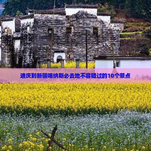 迪庆到新疆喀纳斯必去地