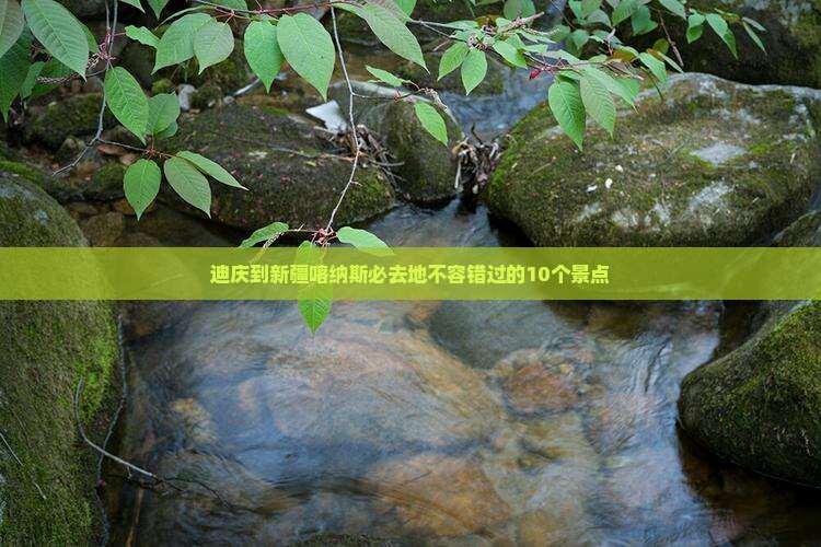 迪庆到新疆喀纳斯必去地