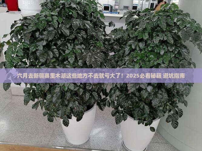 六月去新疆赛里木湖必去地