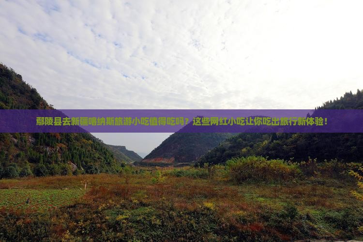 鄢陵县去新疆喀纳斯旅游小吃