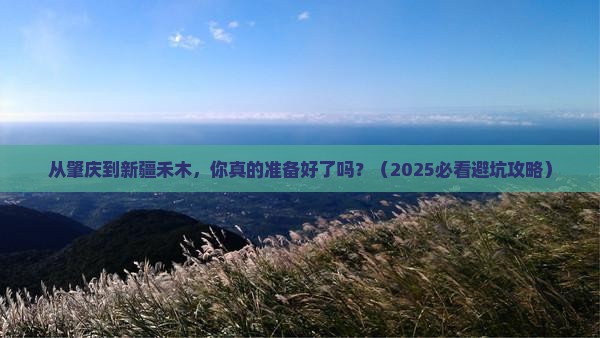 肇庆去新疆禾木自由行