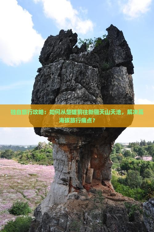 独自旅行攻略：如何从楚雄前往新疆天山天池，解决高海拔旅行痛点？