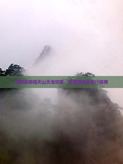 襄樊去新疆天山天池攻略：详细路线及旅行指南