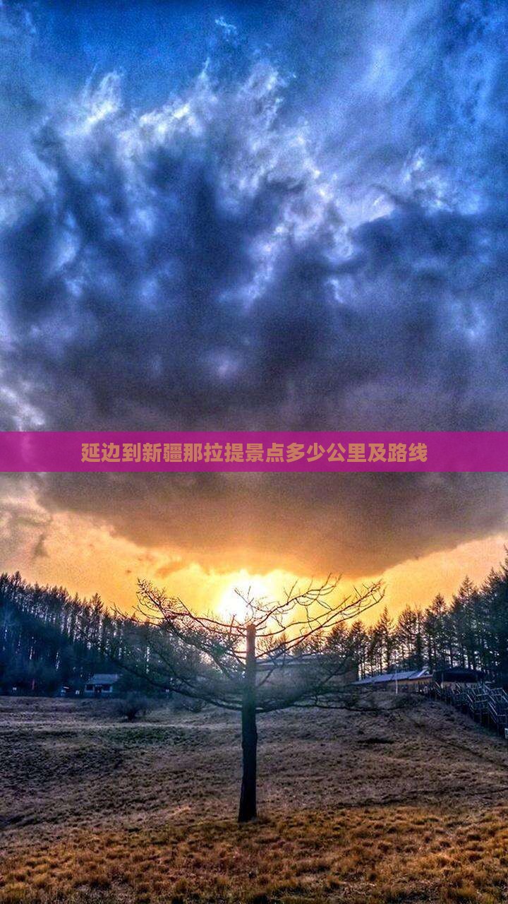 延边到新疆那拉提景点多少公里及路线