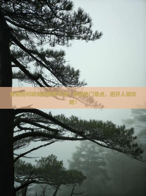 假期如何畅游新疆布尔津？解锁热门景点，避开人潮攻略！
