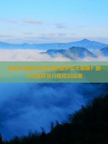 如何从朝阳出发畅游新疆伊犁大草原？旅行社推荐及行程规划指南