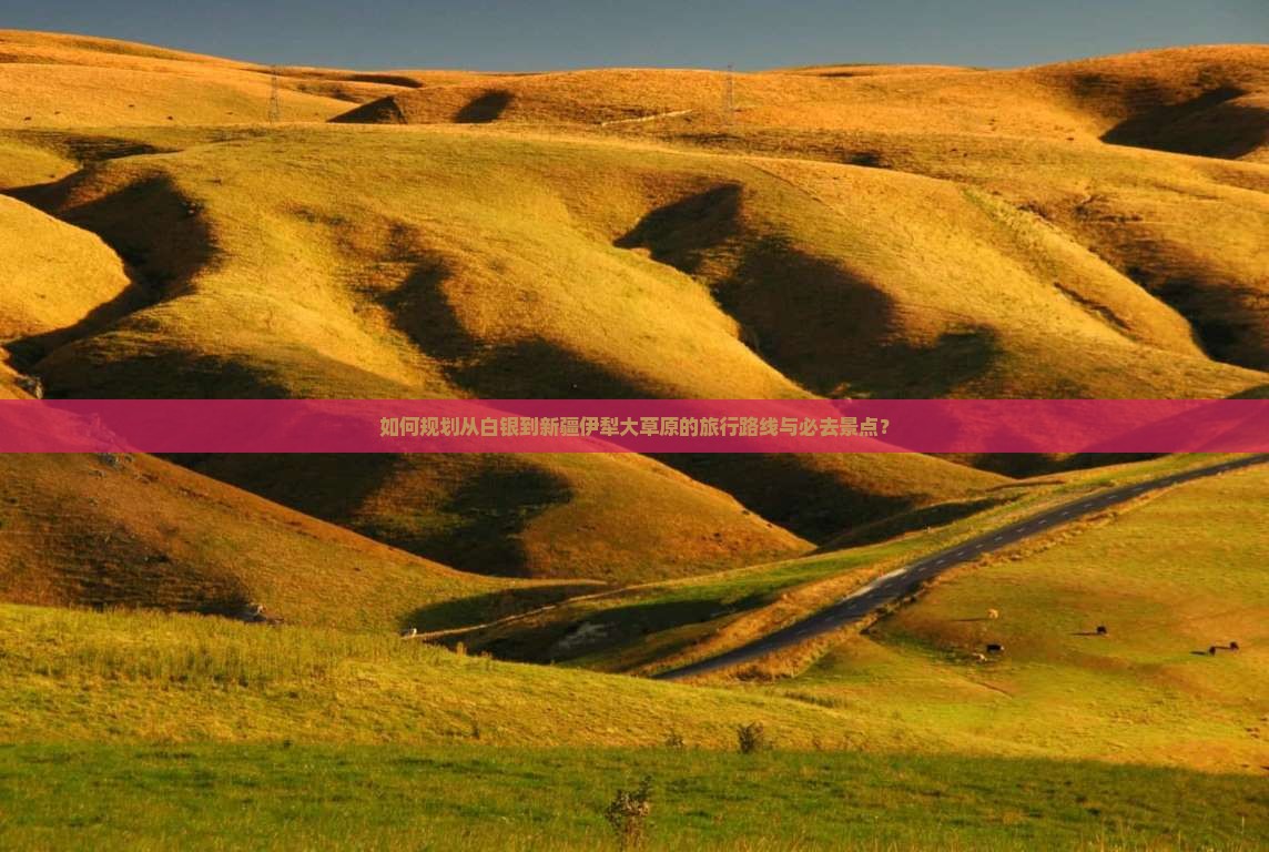 如何规划从白银到新疆伊犁大草原的旅行路线与必去景点？