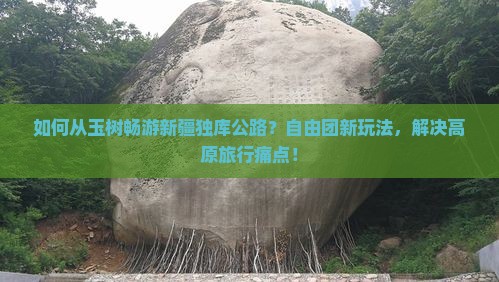 如何从玉树畅游新疆独库公路？自由团新玩法，解决高原旅行痛点！