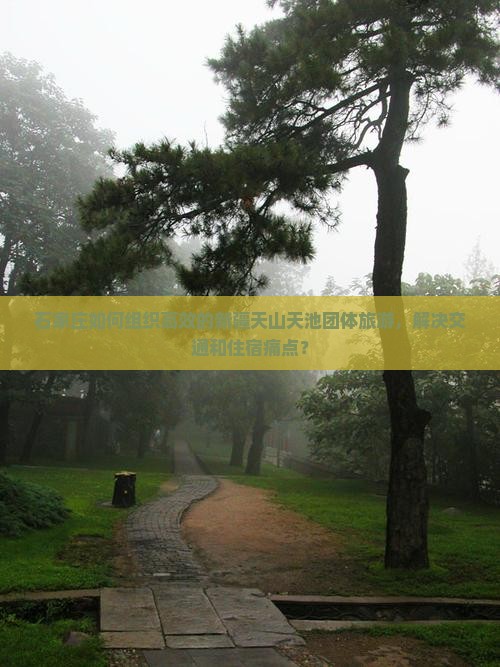 石家庄如何组织高效的新疆天山天池团体旅游，解决交通和住宿痛点？