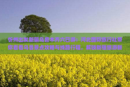 忻州出发新疆乌鲁木齐六日游：河北国际旅行社带你看看乌鲁景点攻略与线路行程，解锁新疆旅游新路稀