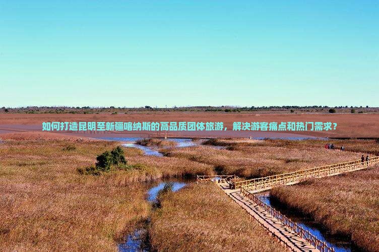 如何打造昆明至新疆喀纳斯的高品质团体旅游，解决游客痛点和热门需求？