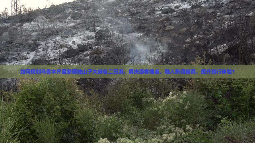 如何规划乌鲁木齐至新疆独山子大峡谷二日游，解决游客痛点，融入热词新词，提升旅行体验？