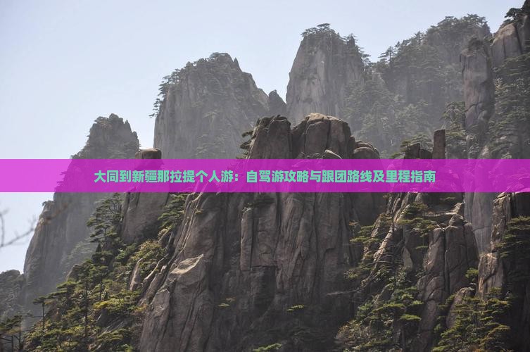 大同到新疆那拉提个人游：自驾游攻略与跟团路线及里程指南