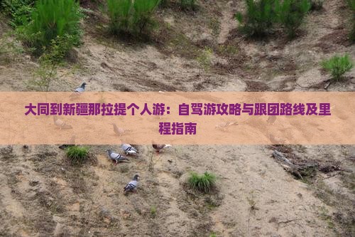大同到新疆那拉提个人游：自驾游攻略与跟团路线及里程指南