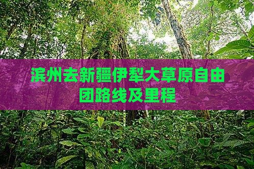 滨州去新疆伊犁大草原自由团路线及里程
