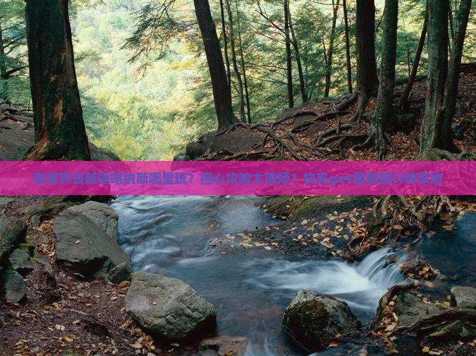 张家界去新疆喀纳斯哪里玩？担心攻略太麻烦？快来get最新旅行种草地