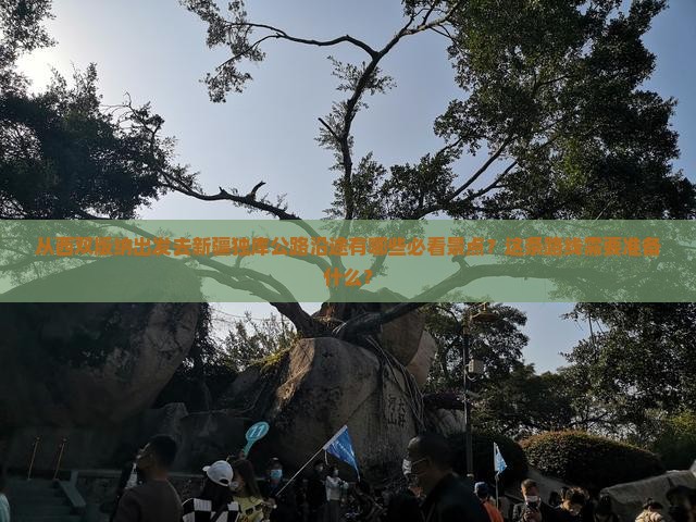从西双版纳出发去新疆独库公路沿途有哪些必看景点？这条路线需要准备什么？