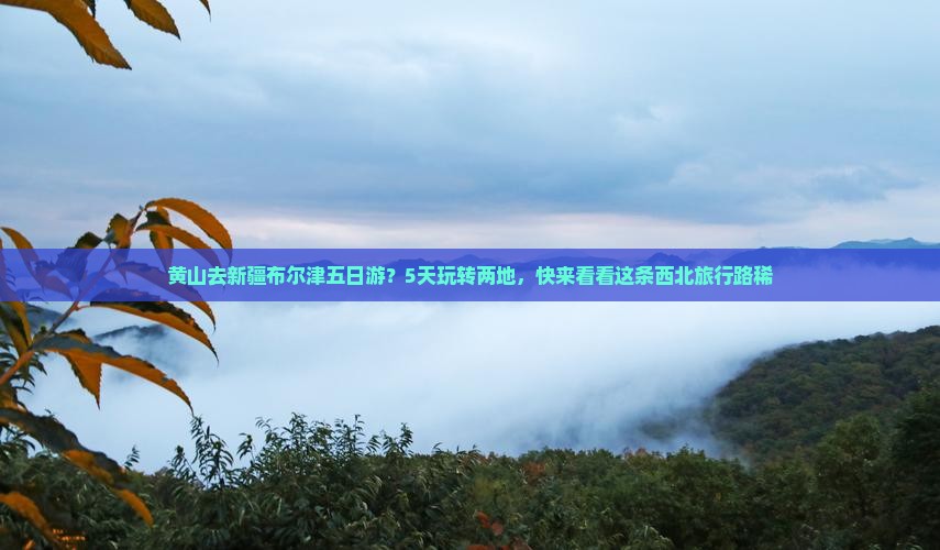 黄山去新疆布尔津五日游？5天玩转两地，快来看看这条西北旅行路稀