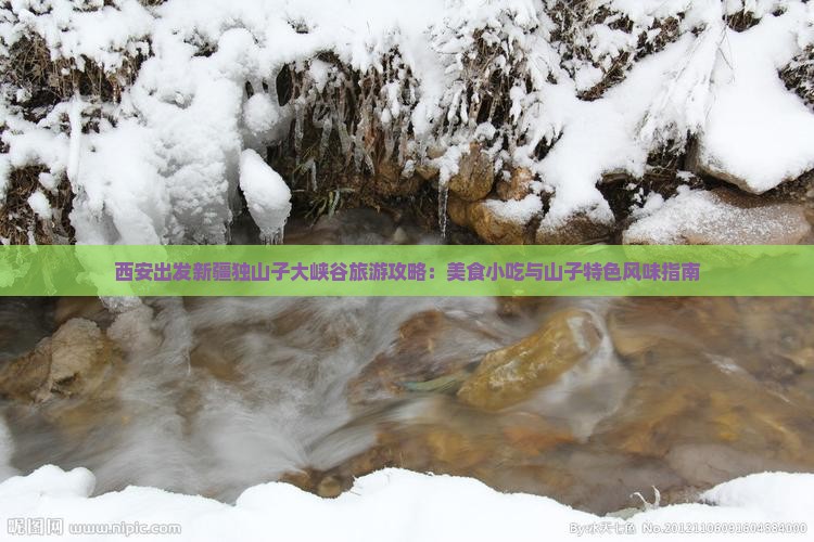 西安出发新疆独山子大峡谷旅游攻略：美食小吃与山子特色风味指南