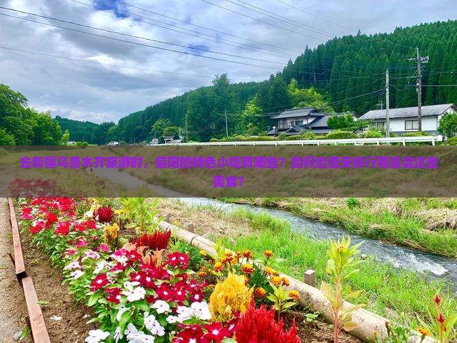 去新疆乌鲁木齐旅游时，信阳的特色小吃有哪些？如何合理安排行程品尝这些美食？