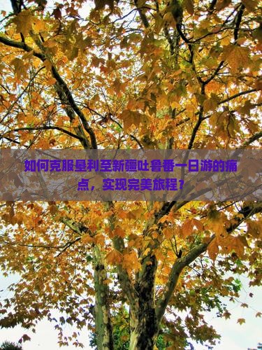 如何克服垦利至新疆吐鲁番一日游的痛点，实现完美旅程？