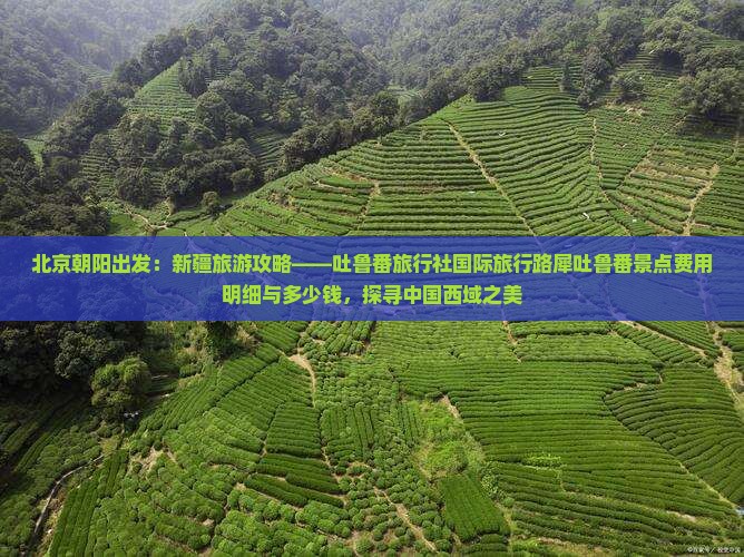北京朝阳出发：新疆旅游攻略——吐鲁番旅行社国际旅行路犀吐鲁番景点费用明细与多少钱，探寻中国西域之美